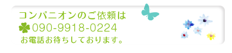 コンパニオンのご依頼はこちら